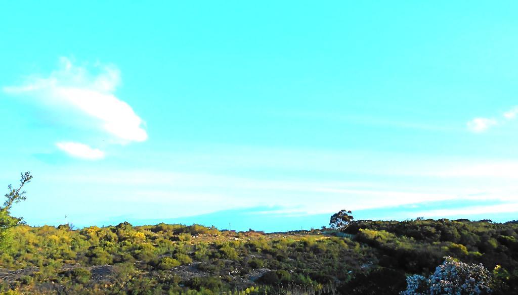 Onrus River Cottage Hermanus Esterno foto