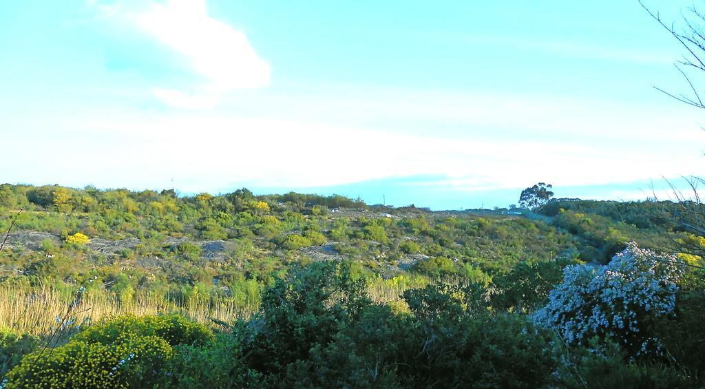 Onrus River Cottage Hermanus Esterno foto